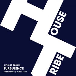 Cover of Turbulence