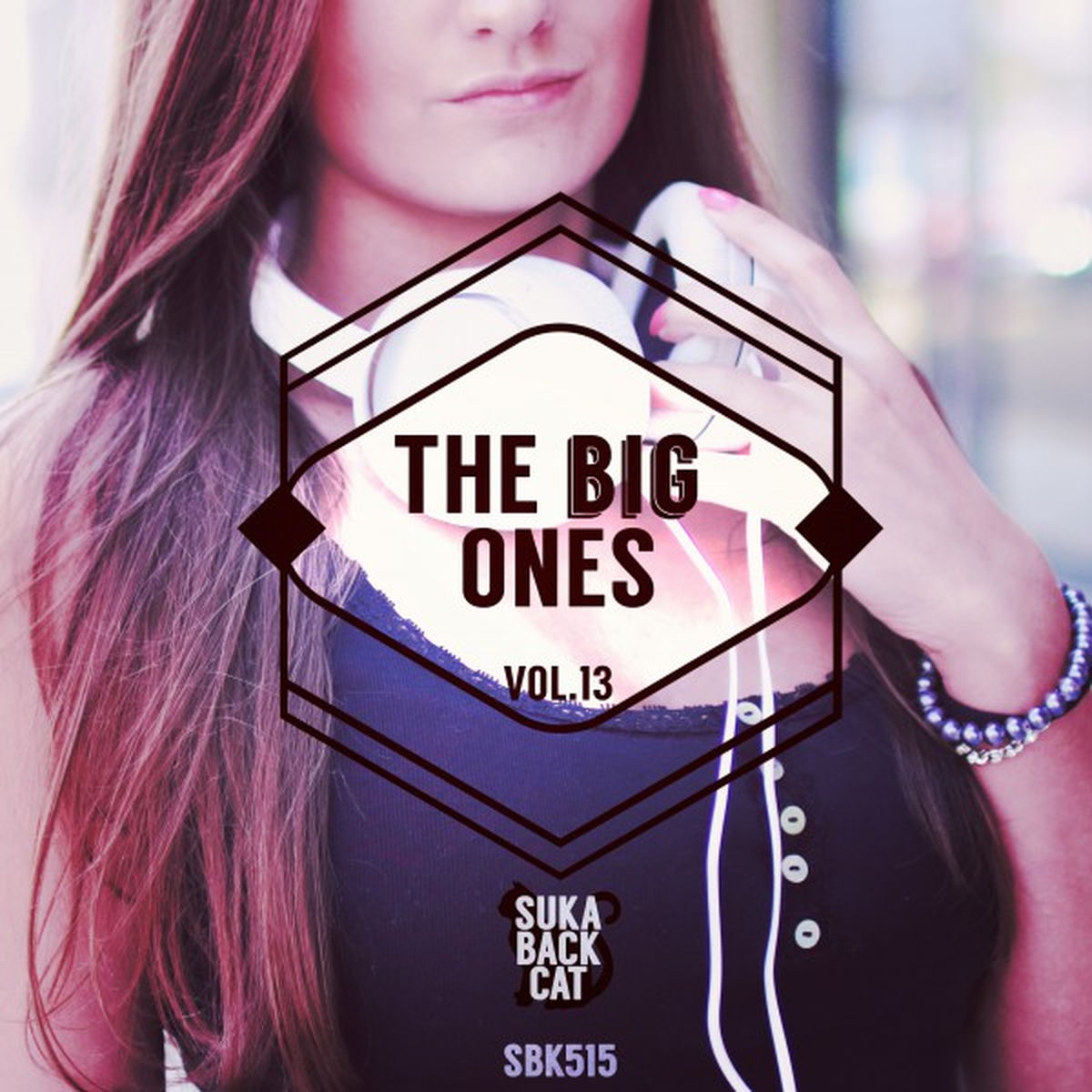 Album cover of The Big Ones, Vol. 13