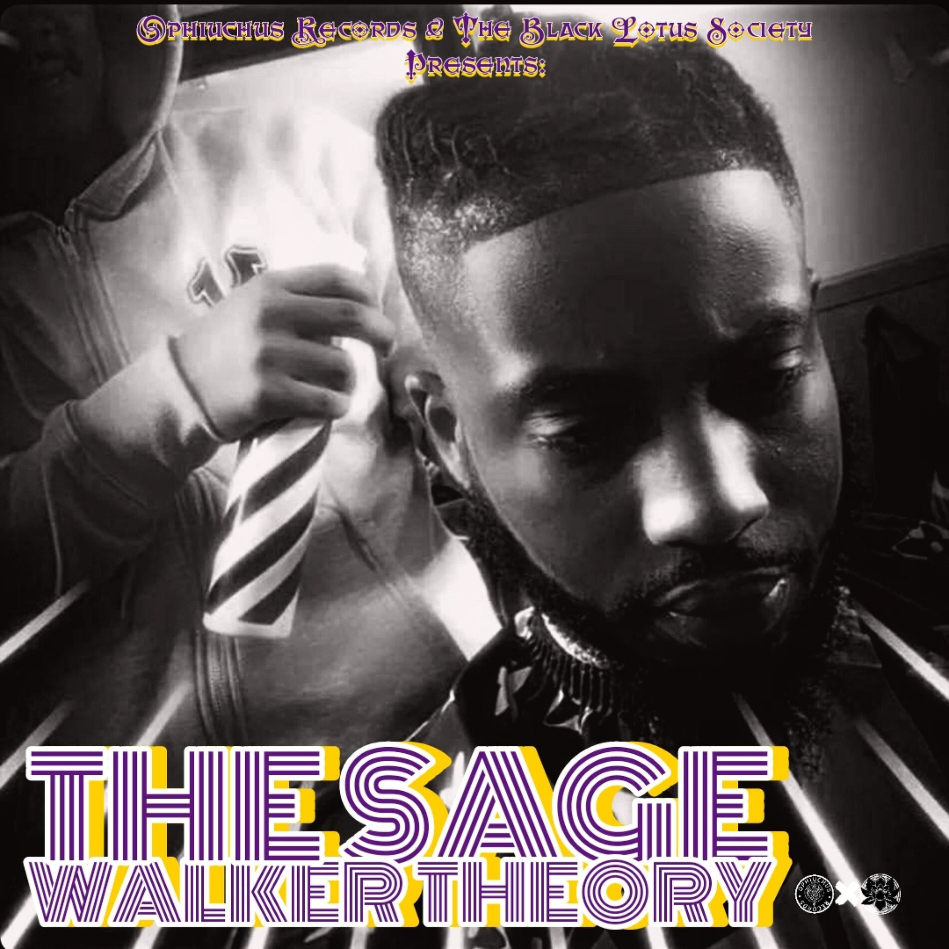 Album cover of The Sage Walker Theory