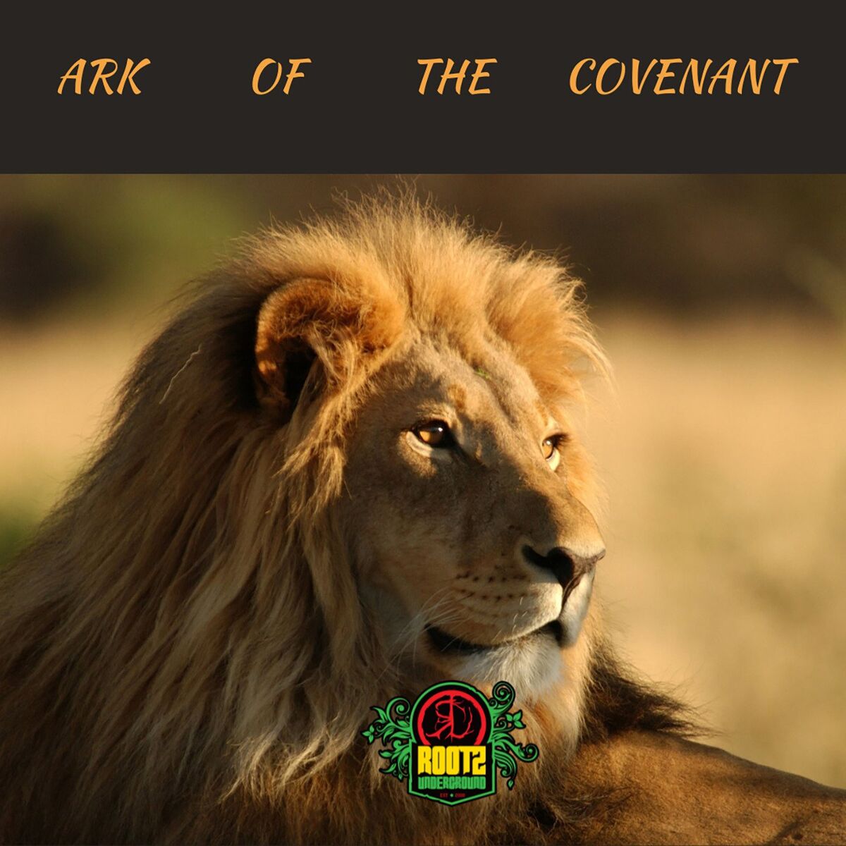 Album cover of Ark Of The Covenant
