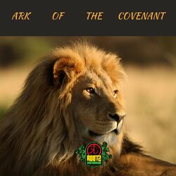 Cover of Ark Of The Covenant