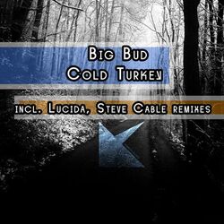 Cover of Cold Turkey