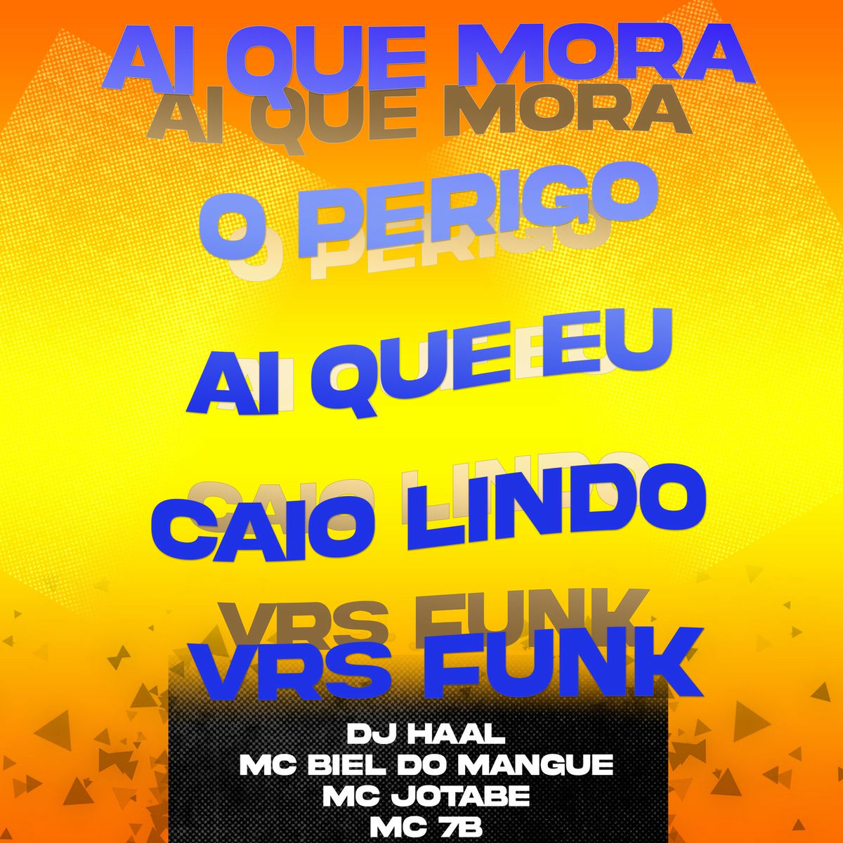 Album cover of Ai que mora o perigo ai que eu caio lindo Vrs Funk