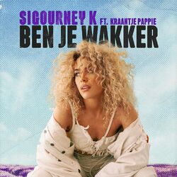 Cover of Ben Je Wakker?
