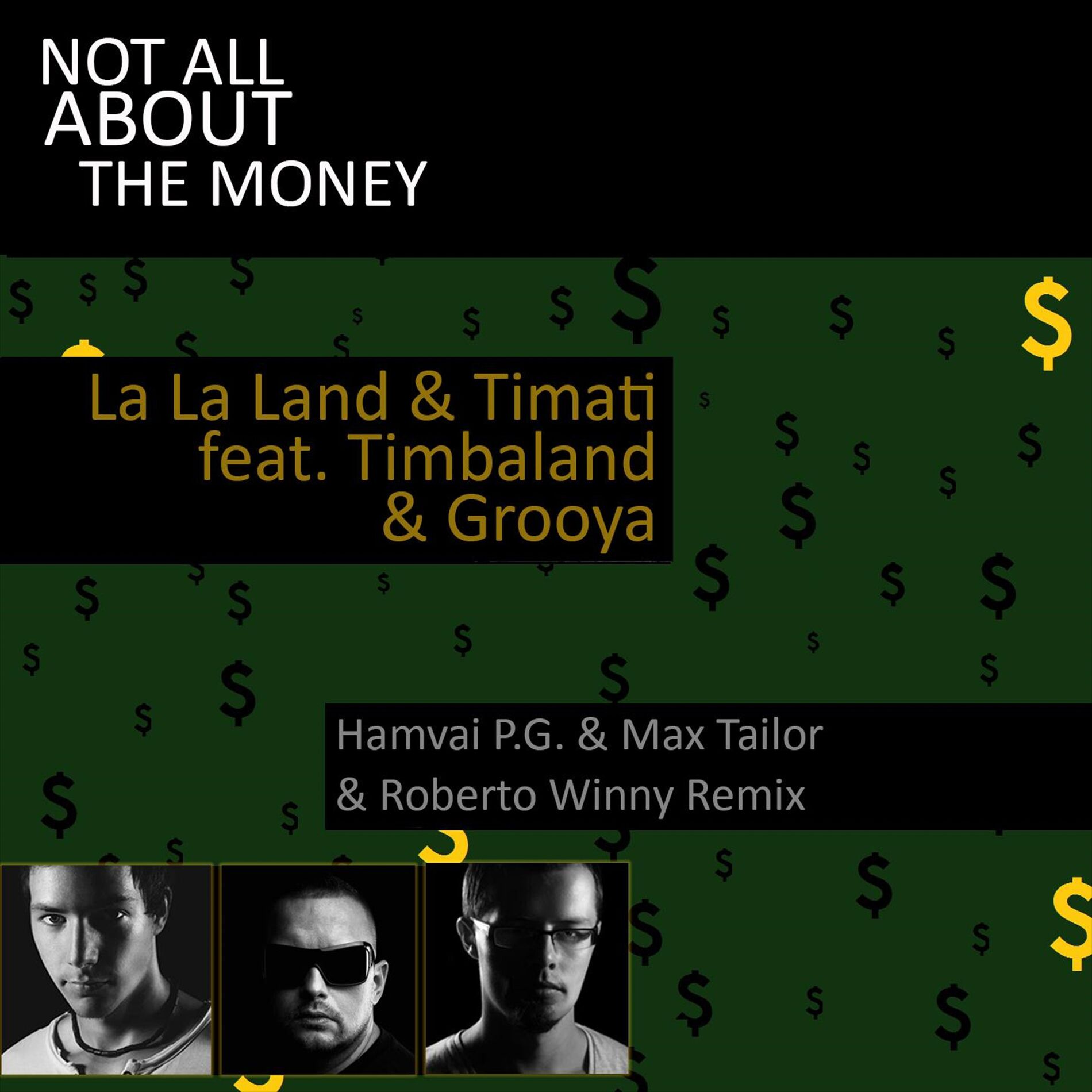 Album cover of Not All About the Money (feat. Timbaland & Grooya) (Hamvai P.G. & Max Tailor & Roberto Winny Remix)