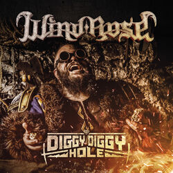 Cover of Diggy Diggy Hole
