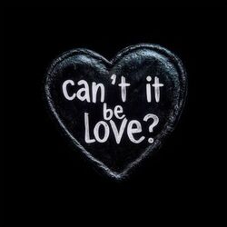 Cover of Can't it be love?