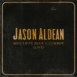Cover of Should've Been A Cowboy (Live)