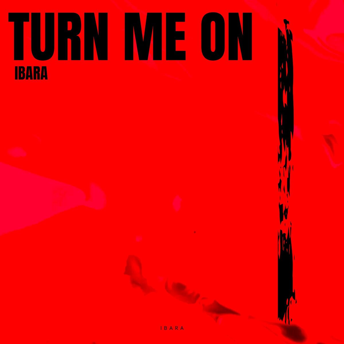Album cover of Turn Me On