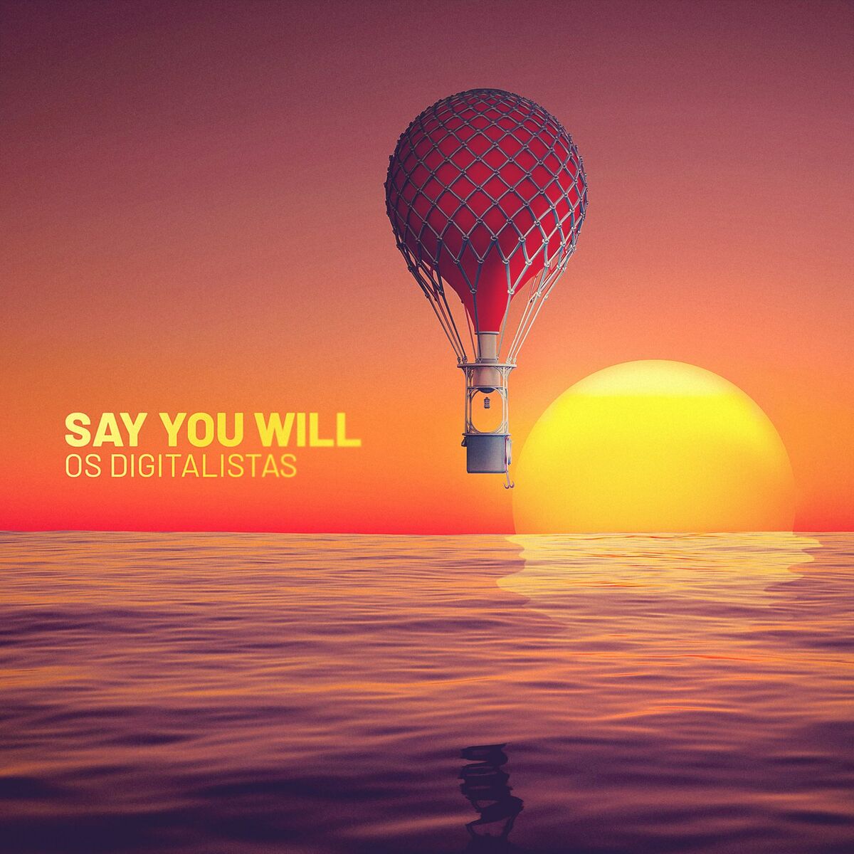 Album cover of Say You Will