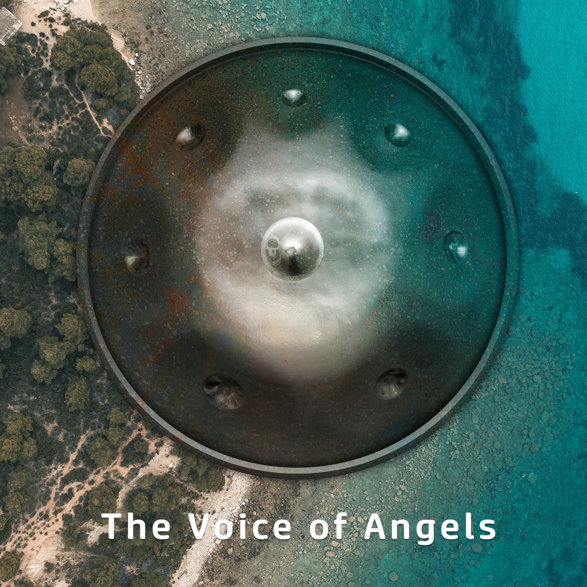 Album cover of The Voice of Angels