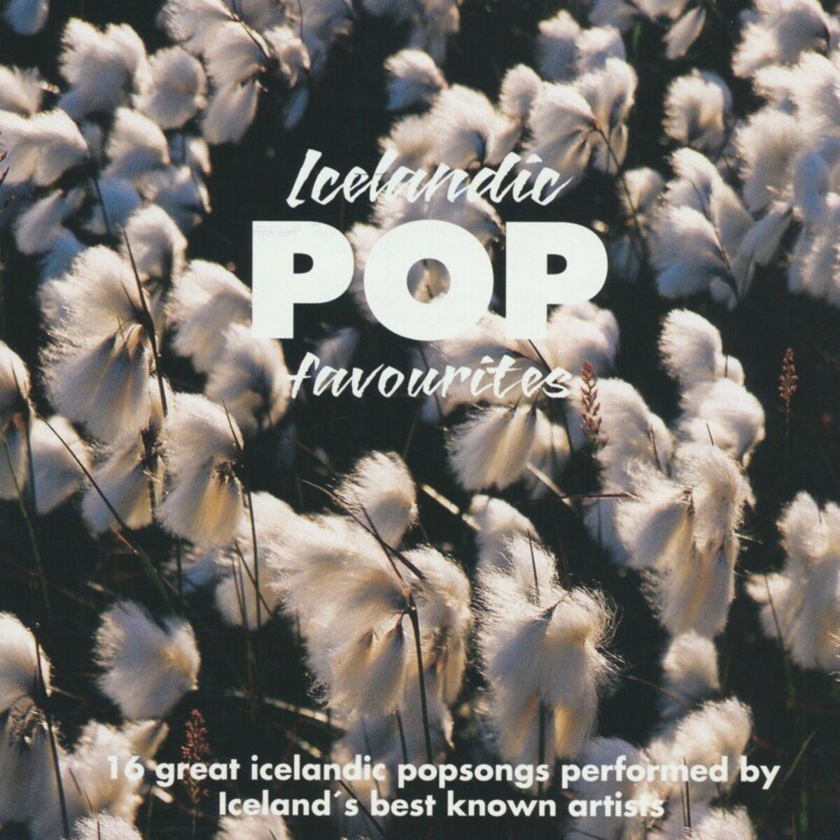 Album cover of Icelandic pop favourites