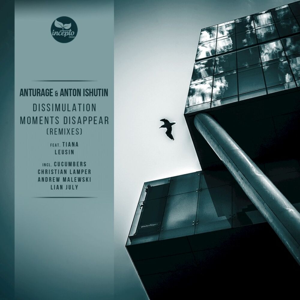 Picture of Dissimulation / Moments Disappear (Remixes)