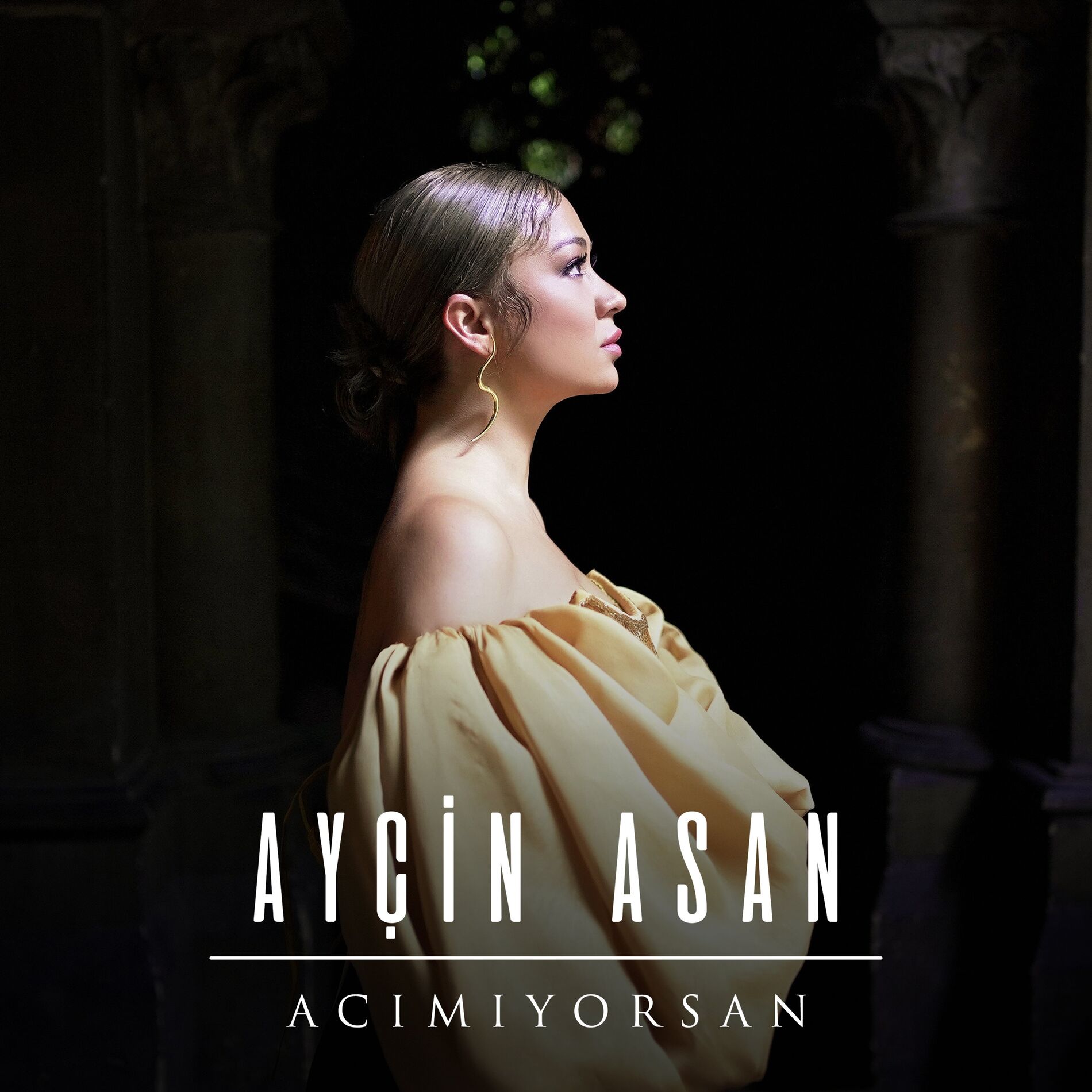 Album cover of Acımıyorsan