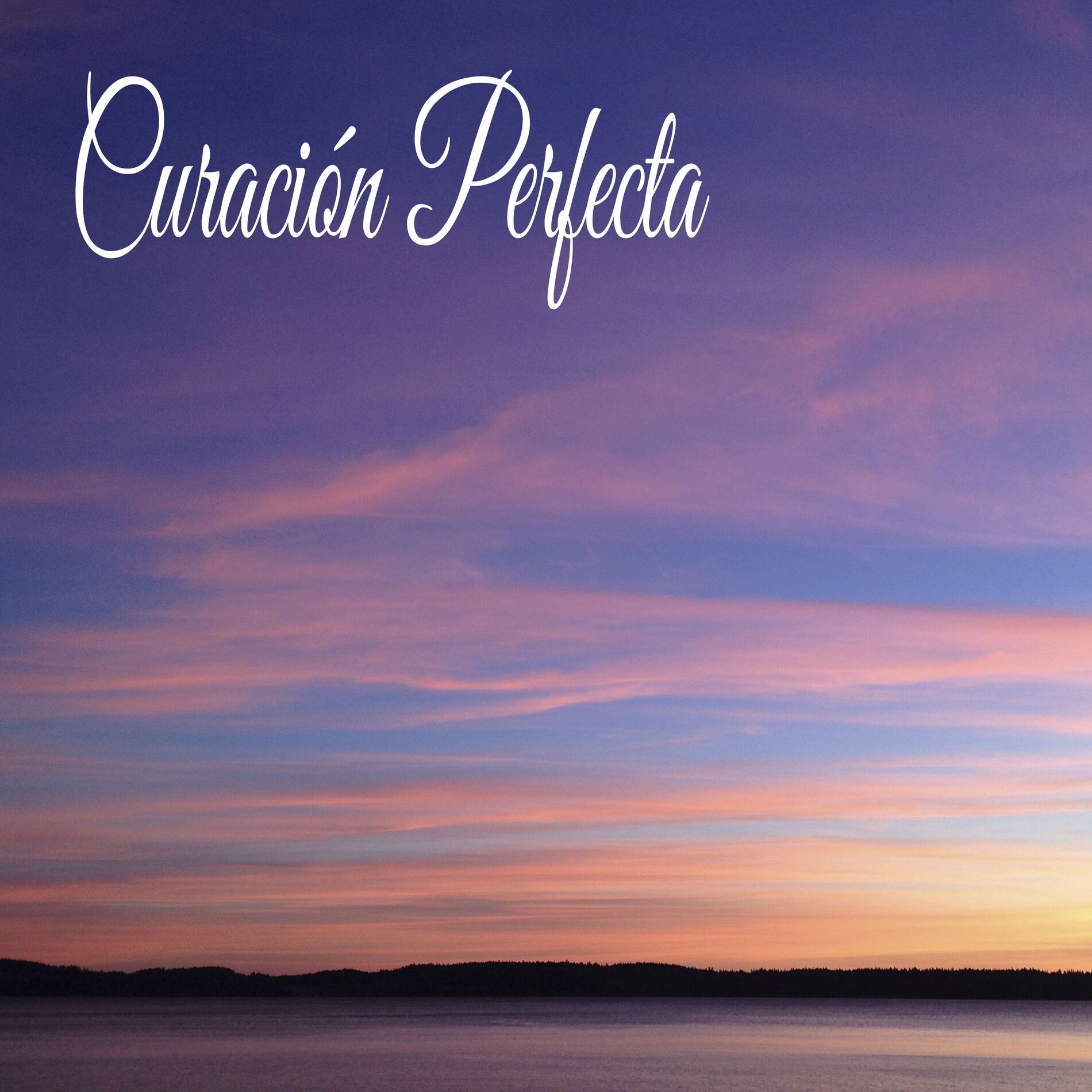 Album cover of Curación Perfecta