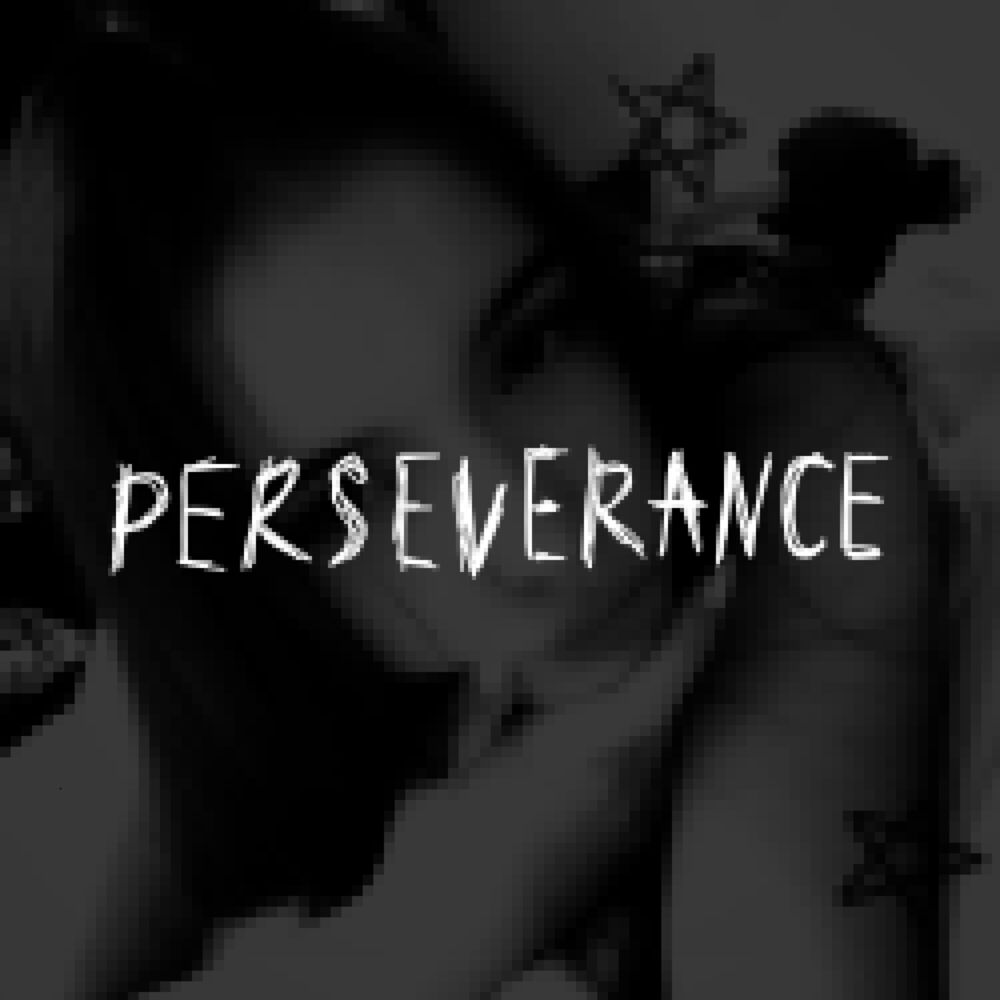 Picture of PERSEVERANCE