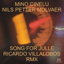 Cover of Song for Julle (Ricardo Villalobos Remix)