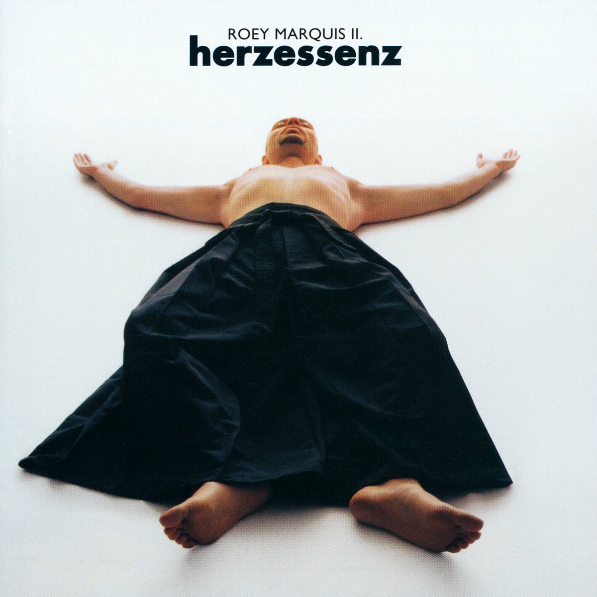 Album cover of Herzessenz