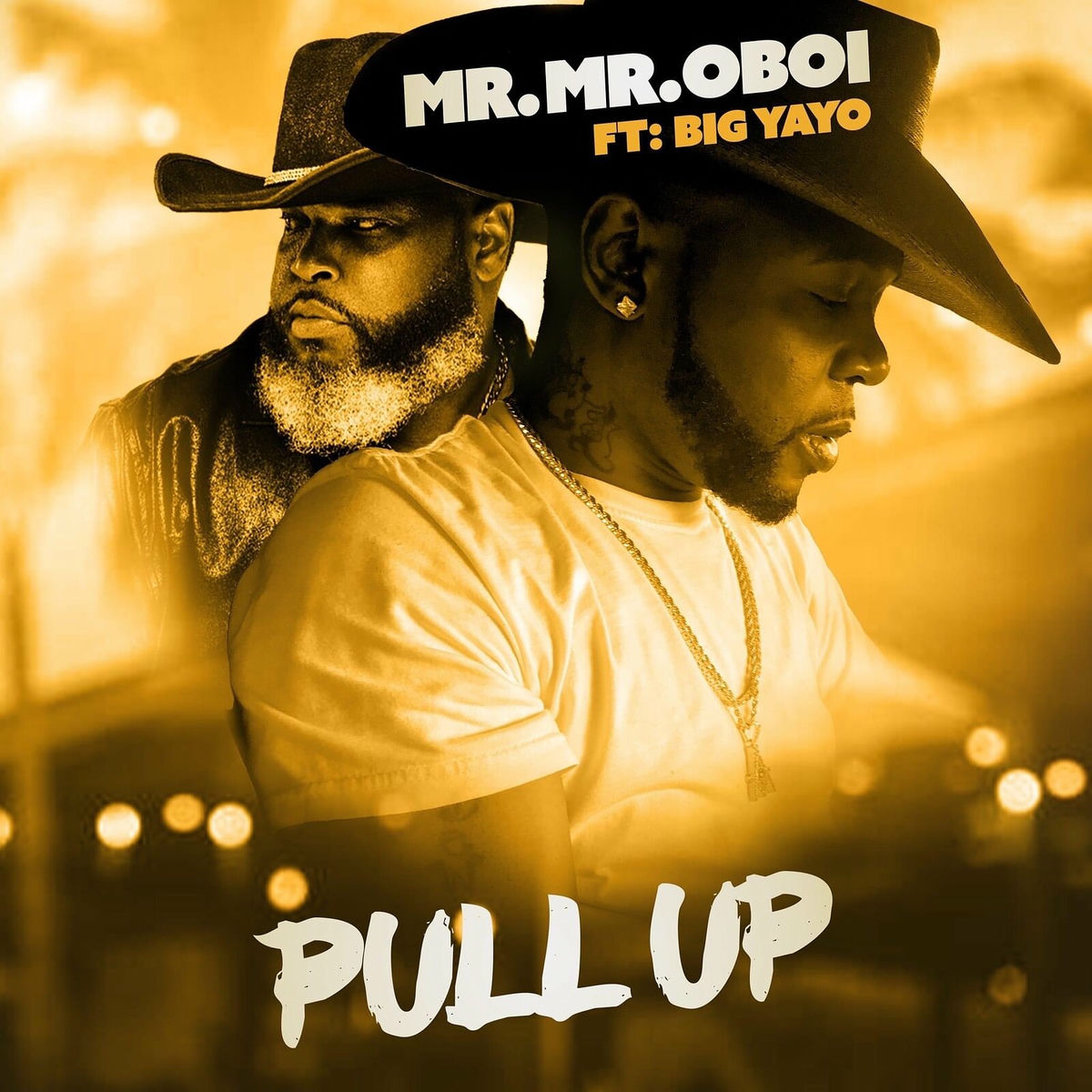 Album cover of Pull Up
