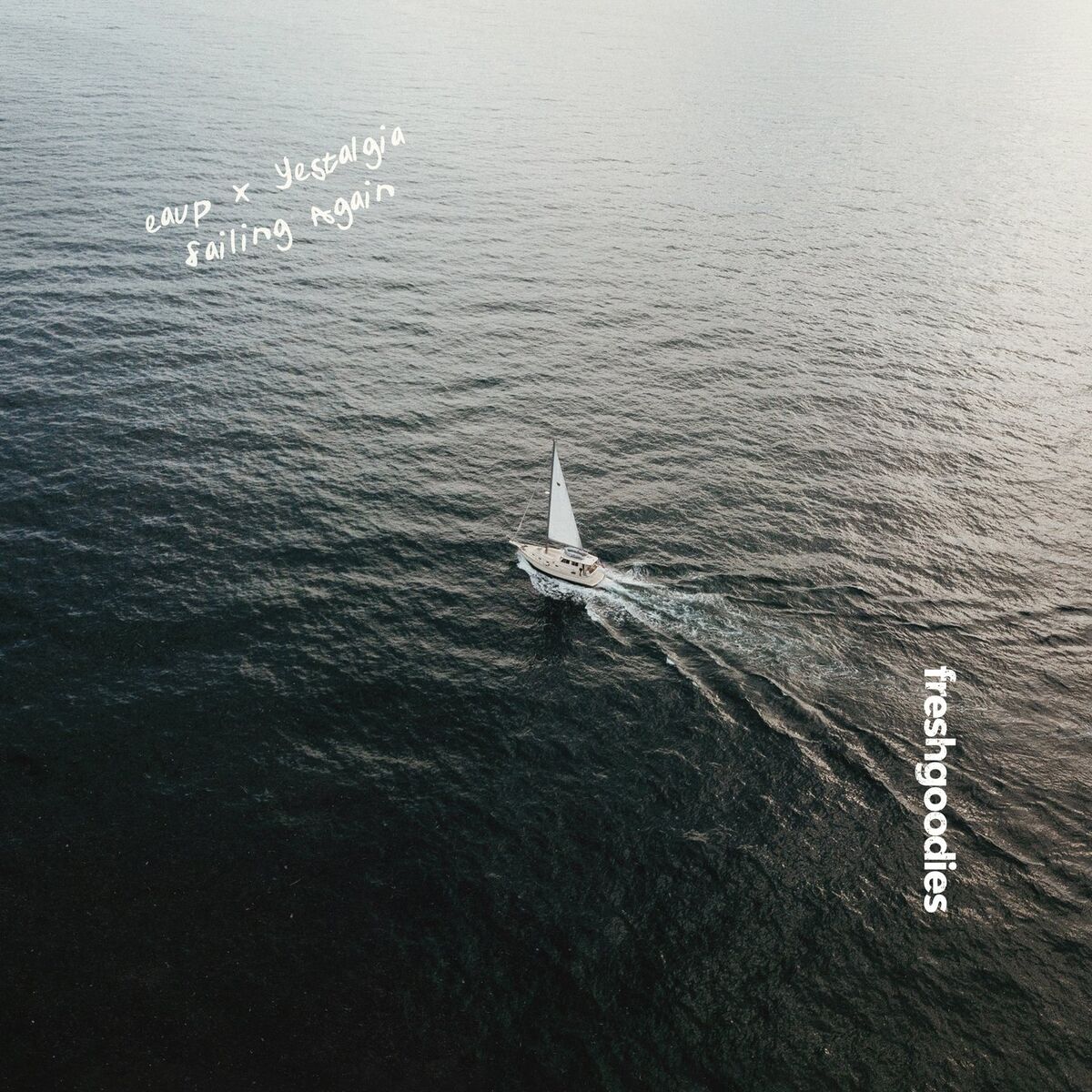 Album cover of Sailing Again