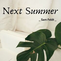 Cover of Next Summer