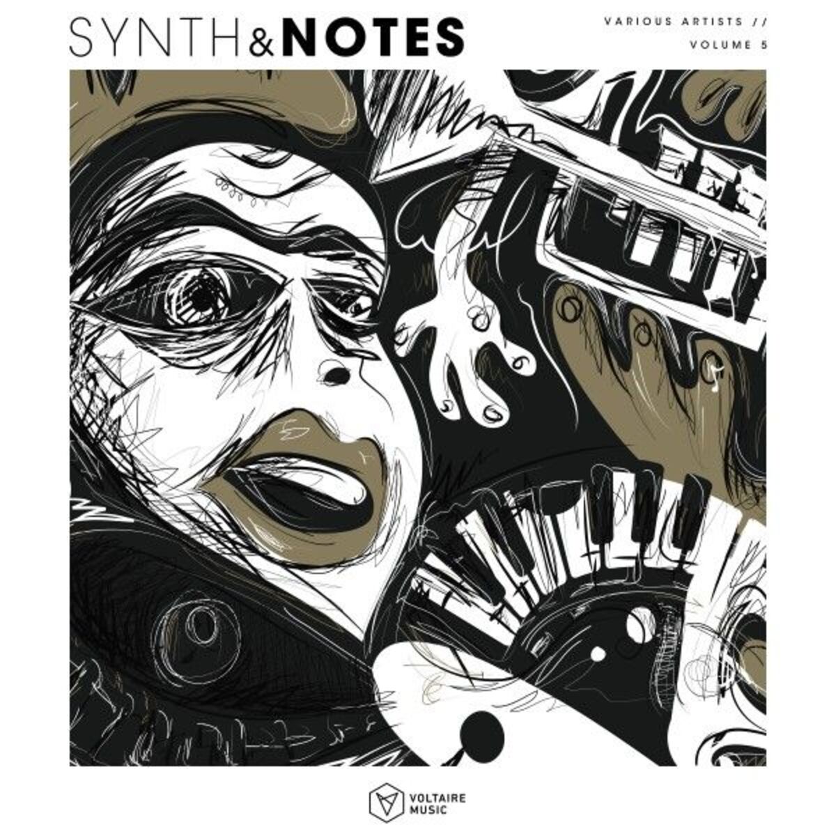 Album cover of Synths & Notes, Vol. 5