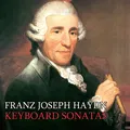 Keyboard Sonata No- 46 Hob- 31 in E Minor, Op- 46, Hob- 31 I I- Allegretto