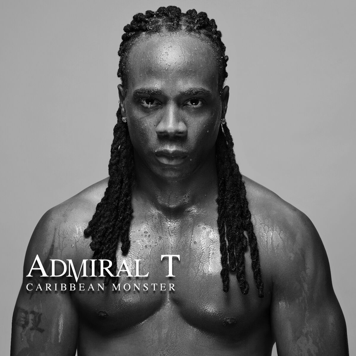 Album cover of Fly