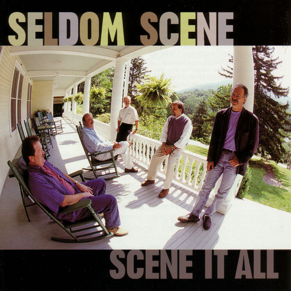 Picture of Scene It All