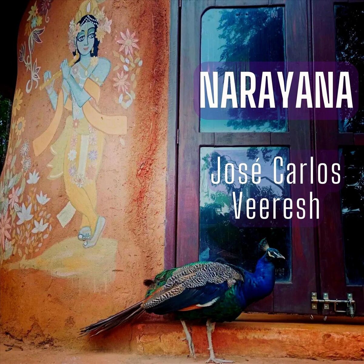 Album cover of Narayana