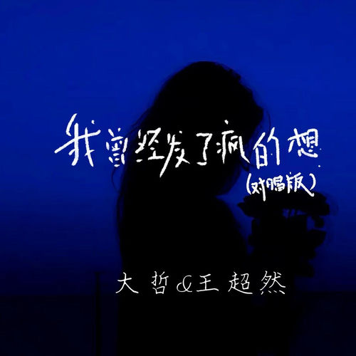 我曾经发了疯的想 (对唱版)
