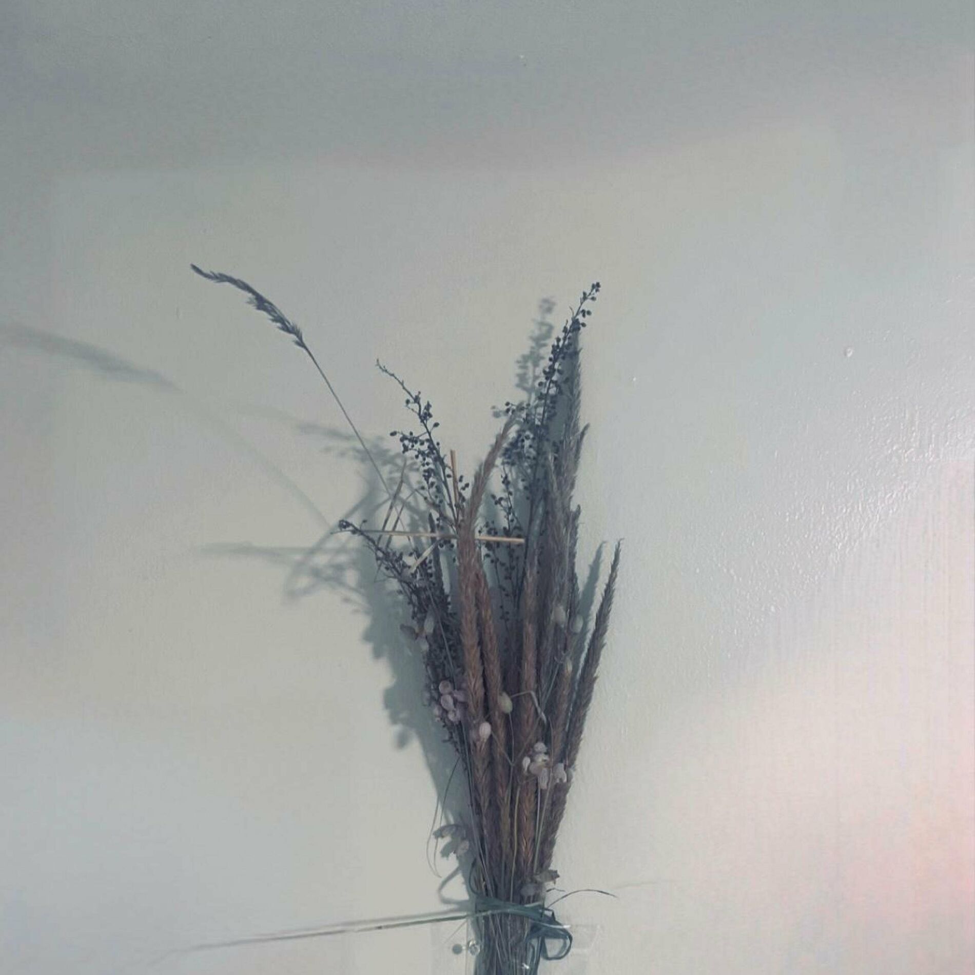 Album cover of It is of (feat. Edith & Yamil)