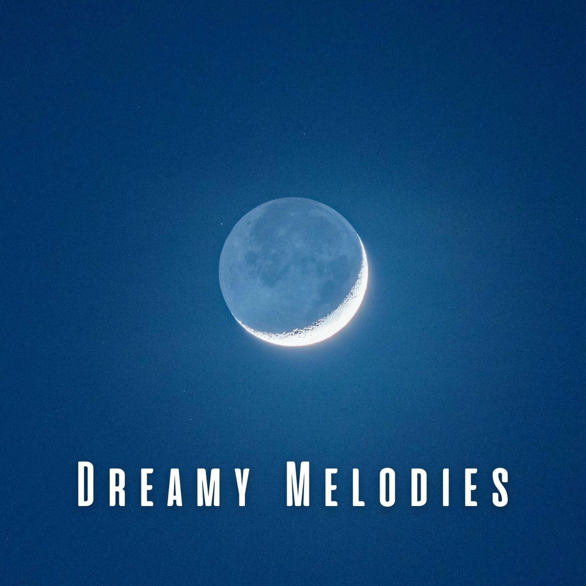 Album cover of Dreamy Melodies: Sleep Music Collection