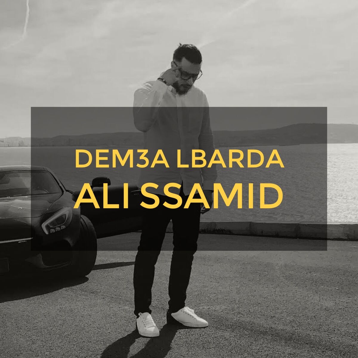 Album cover of Dem3a Lbarda