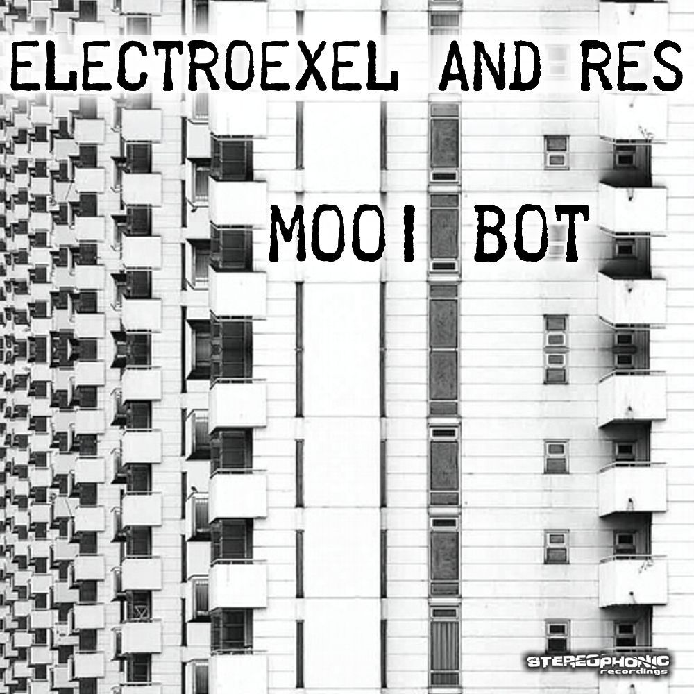 Picture of Mooi Bot