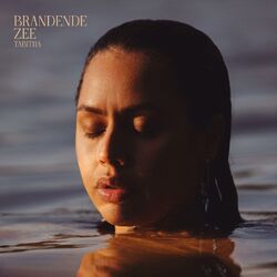Cover of Brandende Zee