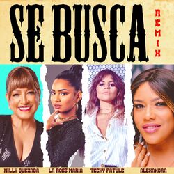 Cover of Se Busca (Remix)