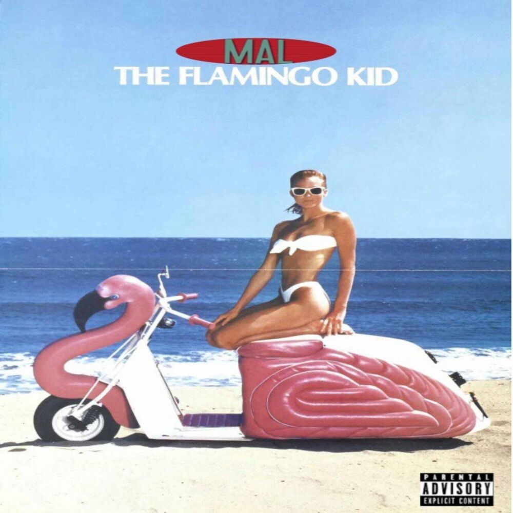 Picture of The Flamingo Kid EP
