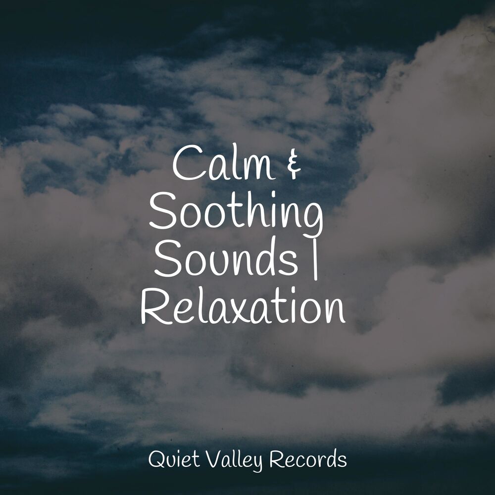 Picture of Calm & Soothing Sounds | Relaxation