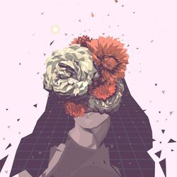 Cover of Wildcard