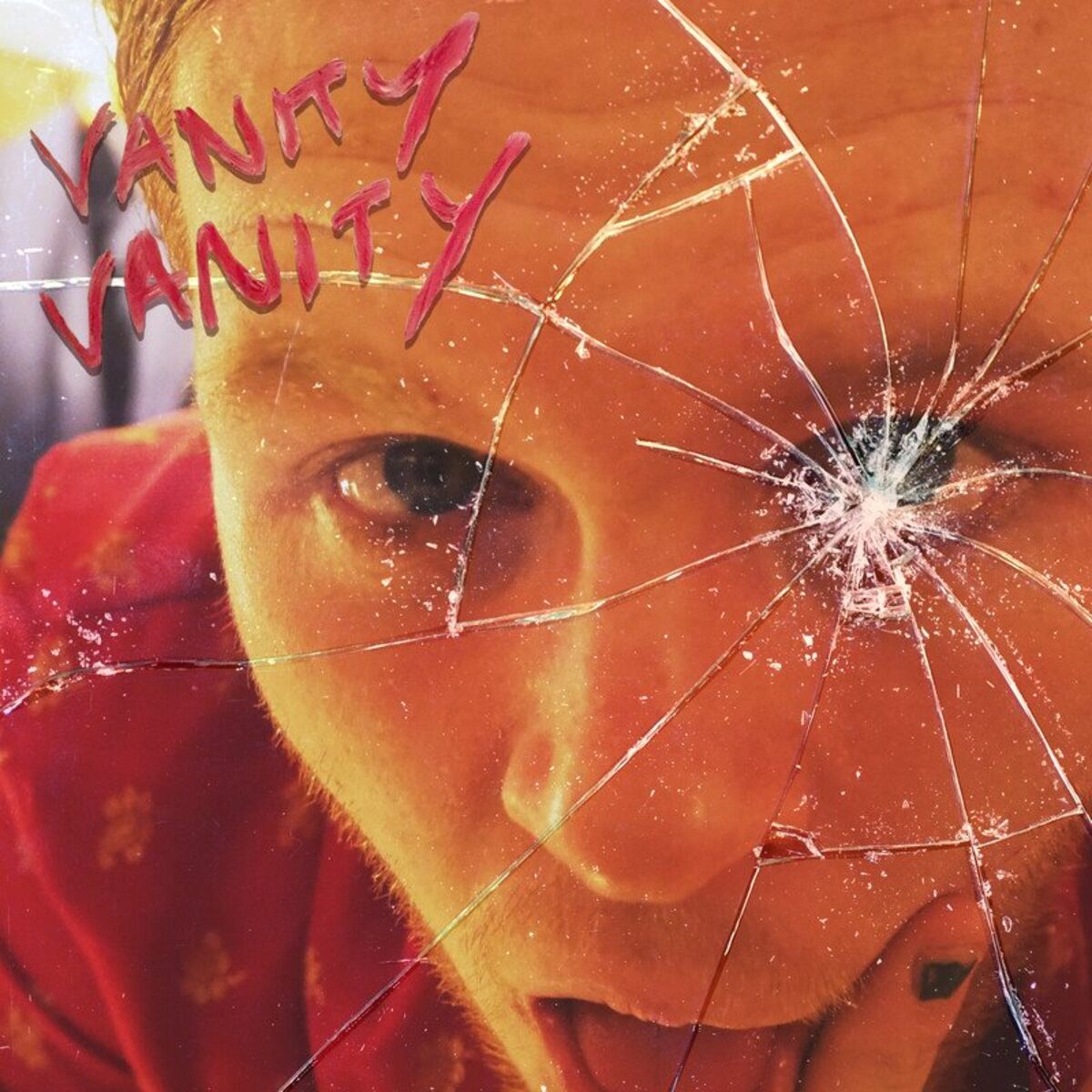 Album cover of Vanity Vanity