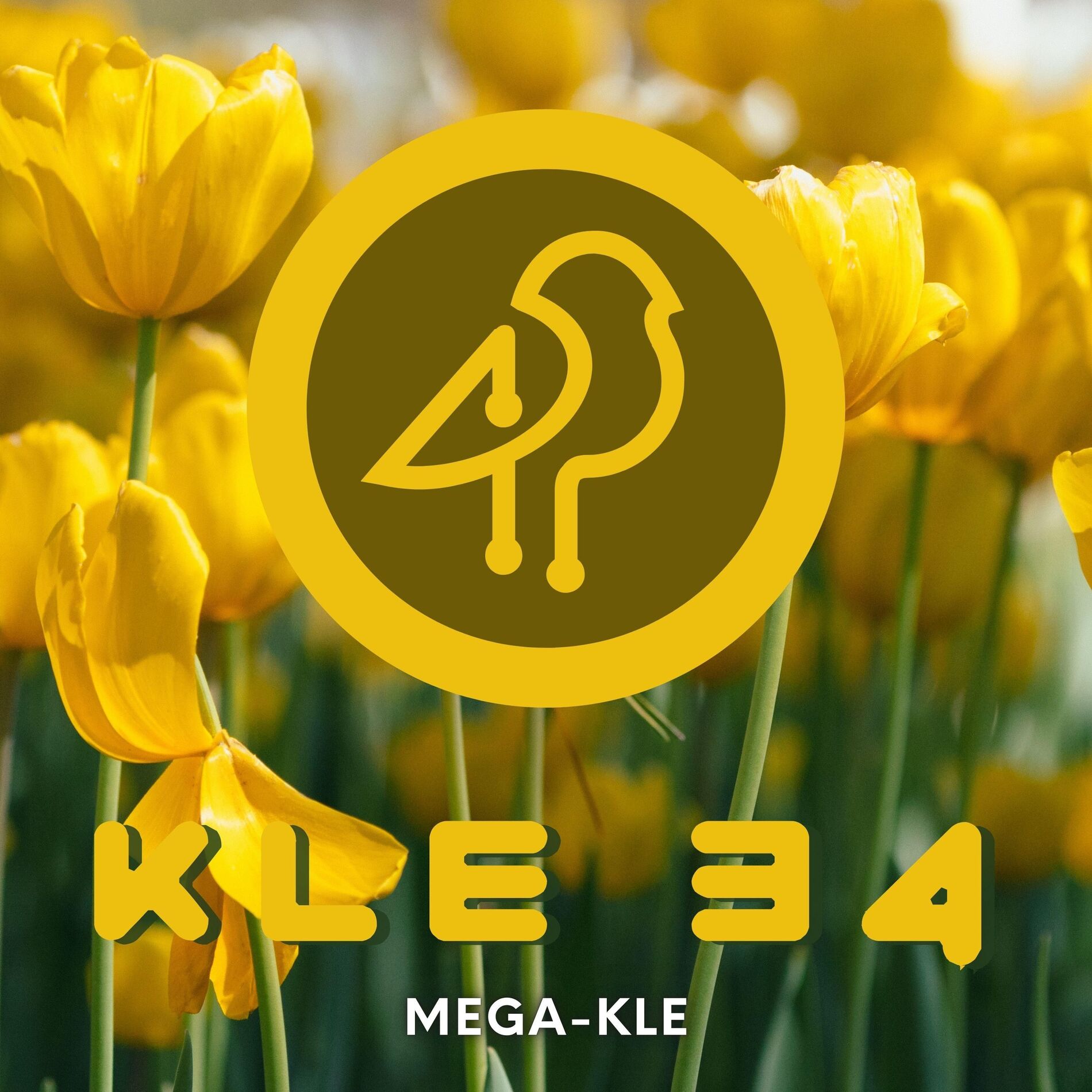 Album cover of KLE 34