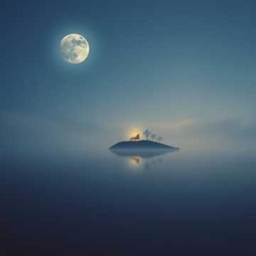 Gentle Nightfall Sleep