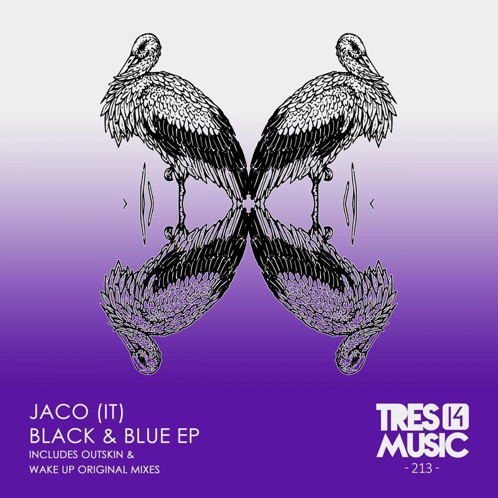 Picture of Black & Blue