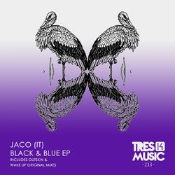 Cover of Black & Blue