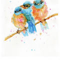 Fly birds, Fly