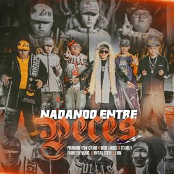 Cover of NADANDO ENTRE PECES