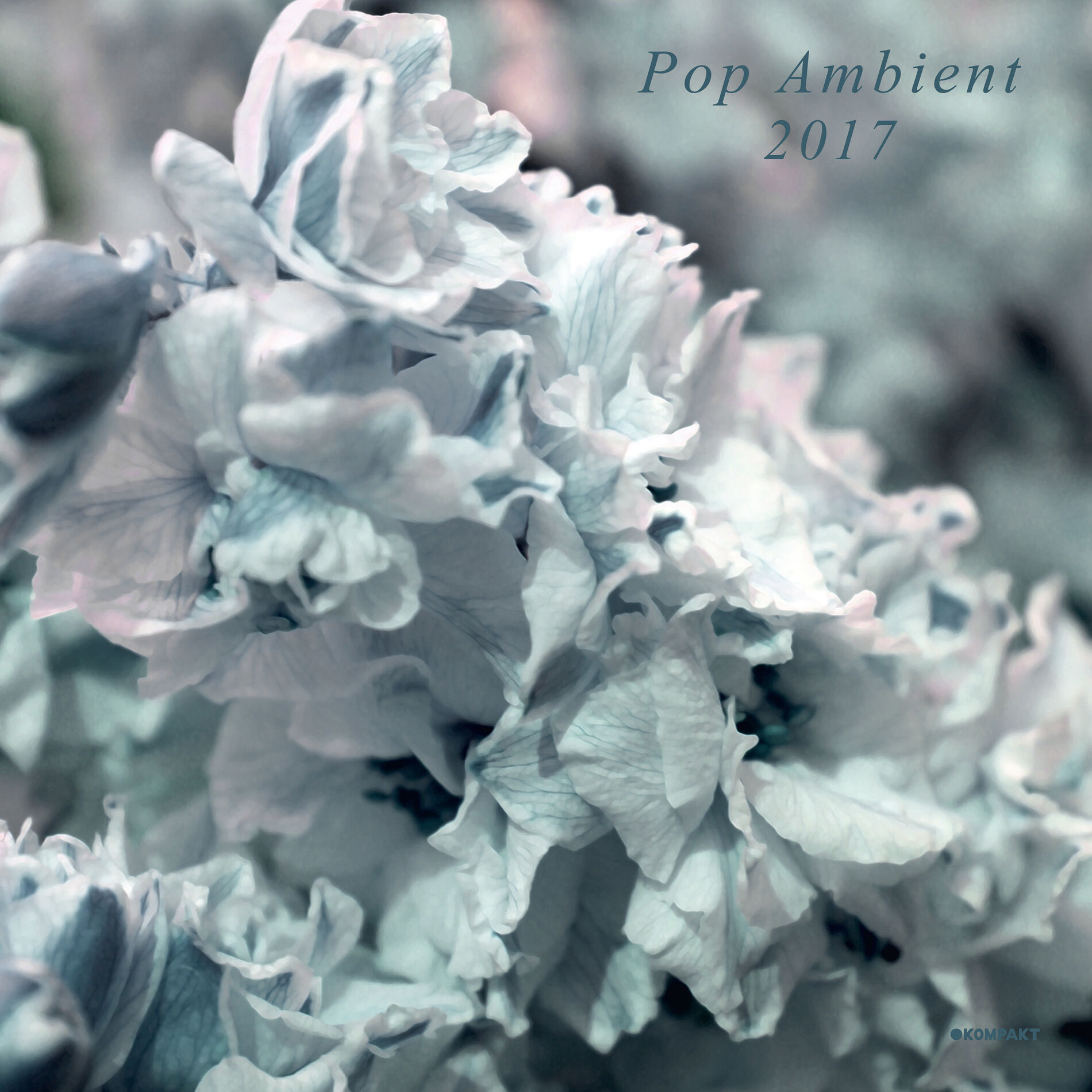 Album cover of Pop Ambient 2017