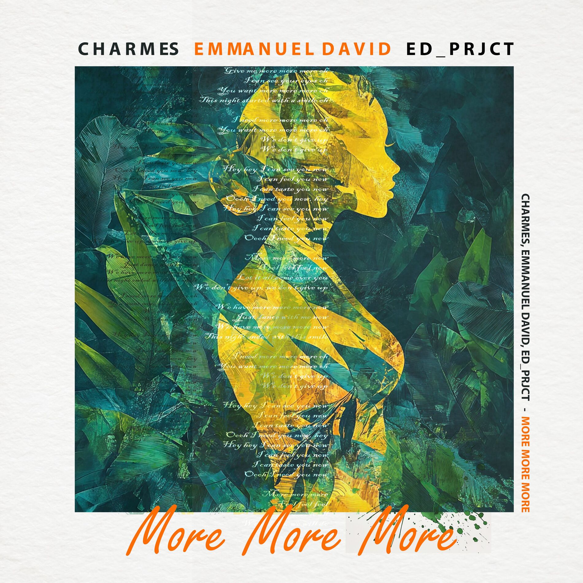 Album cover of More More More