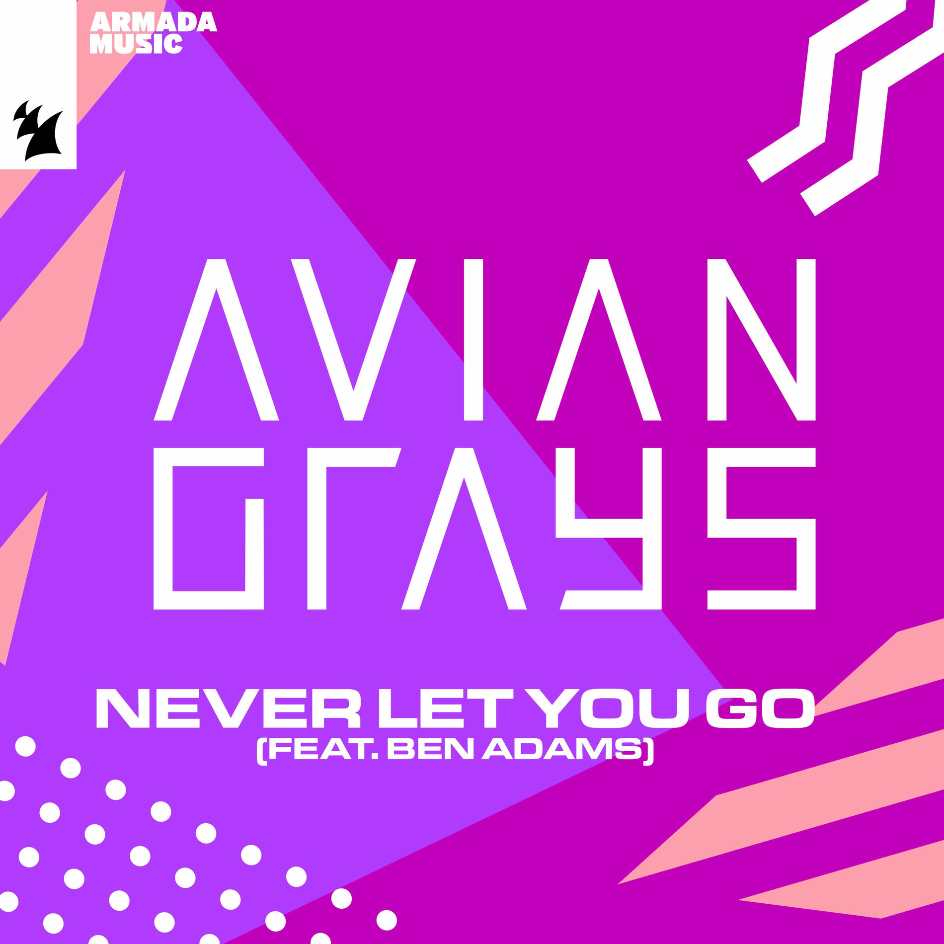 Album cover of Never Let You Go